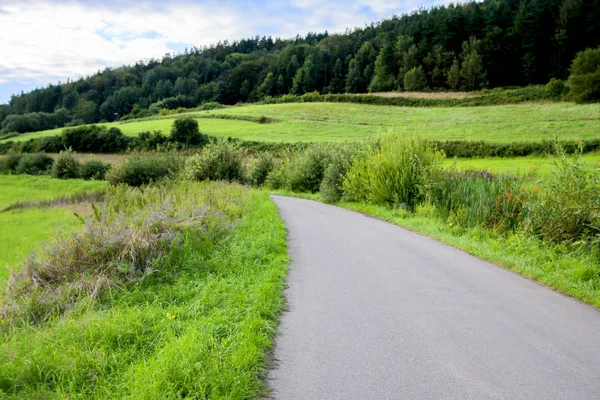 Asfaltweg amog groen natuurlijk landschap. Ecologische vlag. — Stockfoto