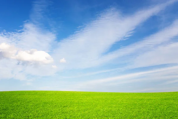 Зеленый луг и голубое небо в солнечном свете . — стоковое фото