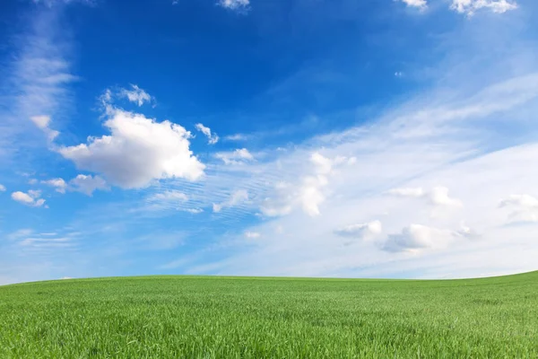 Prado Verde Céu Azul — Fotografia de Stock