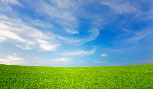 Prado Verde Cielo Azul — Foto de Stock