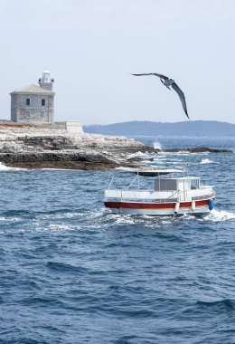 Güzel bir ev ve beyaz fener kulesi. Öğeleri yolculuk. Deniz manzarası, kırmızı ve beyaz çizgili, sahil ile gemi. Denizin üzerinde kuş uçar. Martılar derin mavi deniz üzerine gezdirin. Martı avcılık balık aşağı