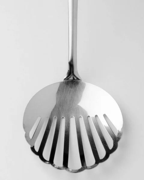 Skimmer fritar concha no fundo branco isolado — Fotografia de Stock