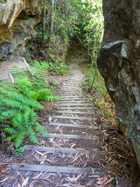 creepy stairs in the woods australia