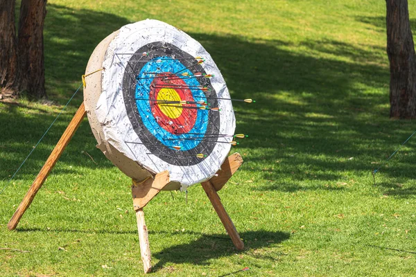 archery target with arrows in it