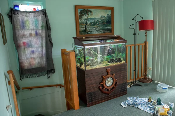 Bir evin içinde akvaryum. 