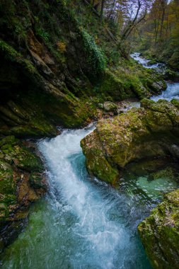 Hırvatistan 'ın Plitvice Jezera Parkı' ndaki orman nehri.