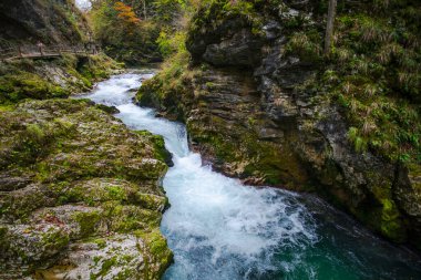 Hırvatistan 'ın Plitvice Jezera Parkı' ndaki orman nehri.