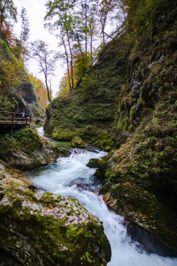 Hırvatistan 'ın Plitvice Jezera Parkı' ndaki orman nehri.