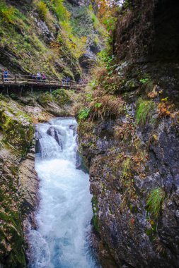 Hırvatistan 'ın Plitvice Jezera Parkı' ndaki orman nehri.