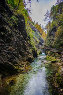 Hırvatistan 'ın Plitvice Jezera Parkı' ndaki orman nehri.