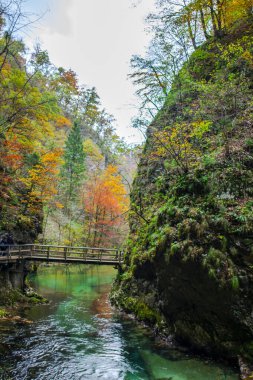 Hırvatistan 'ın Plitvice Jezera Parkı' ndaki orman nehri.