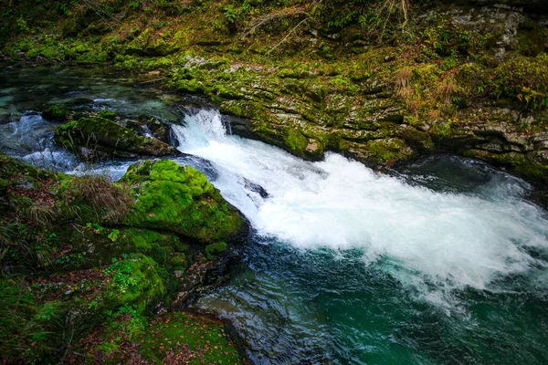 Fiume Della Foresta Nel Parco Plitvice Jezera Croazia — Foto Stock