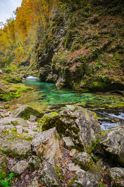 Fiume Della Foresta Nel Parco Plitvice Jezera Croazia — Foto Stock