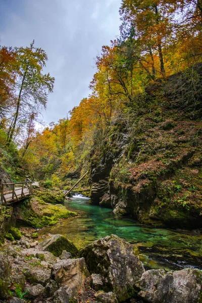 Hırvatistan Plitvice Jezera Parkı Ndaki Orman Nehri — Stok fotoğraf