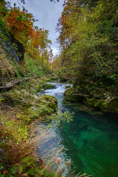 Hırvatistan Plitvice Jezera Parkı Ndaki Orman Nehri — Stok fotoğraf