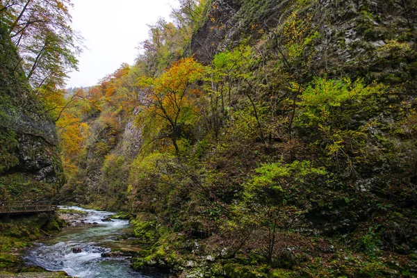Leśna Rzeka Parku Plitvice Jezera Chorwacja — Zdjęcie stockowe