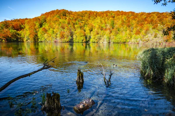 Plitvice Jezera Park Croatia — стокове фото