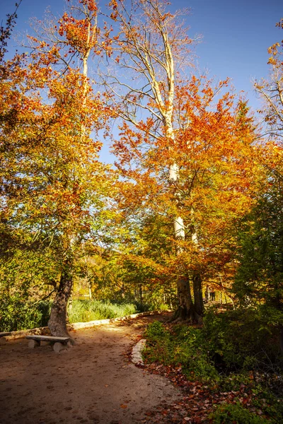 クロアチア プリトヴィツェの秋の風景 Jezera Park Croatia — ストック写真