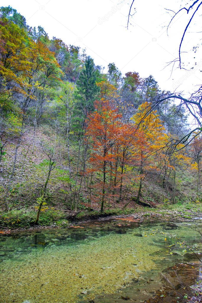 Forest river in Plitvice Jezera Park, Croatia.