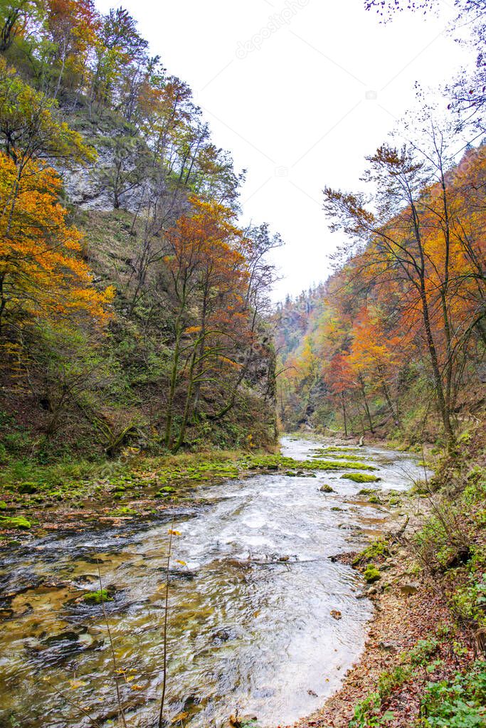Forest river in Plitvice Jezera Park, Croatia.