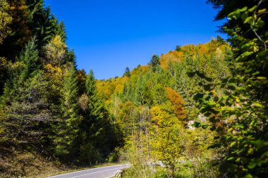 Hırvatistan 'ın Plitvice Jezera Parkı' ndaki Şelalelerden geçen asfalt yolu.