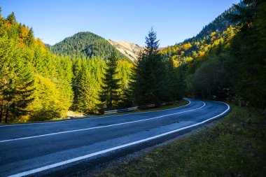 Hırvatistan 'ın Plitvice Jezera Parkı' ndaki Şelalelerden geçen asfalt yolu.