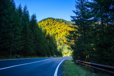 Hırvatistan 'ın Plitvice Jezera Parkı' ndaki Şelalelerden geçen asfalt yolu.
