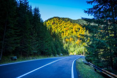 Hırvatistan 'ın Plitvice Jezera Parkı' ndaki Şelalelerden geçen asfalt yolu.
