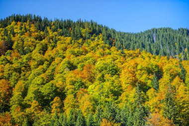 Hırvatistan 'ın Plitvice Jezera Parkı manzarası.