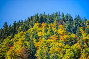 Hırvatistan 'ın Plitvice Jezera Parkı manzarası.