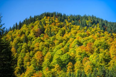 Hırvatistan 'ın Plitvice Jezera Parkı manzarası.
