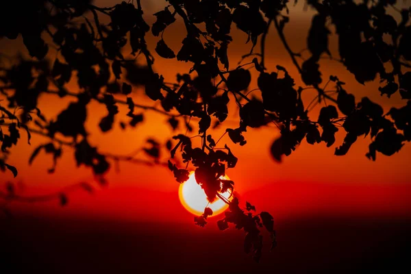 Puesta Sol Sobre Campo Otoñal —  Fotos de Stock