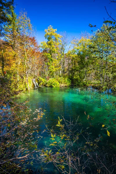 Λίμνη Στο Πάρκο Plitvice Jezera Κροατία — Φωτογραφία Αρχείου