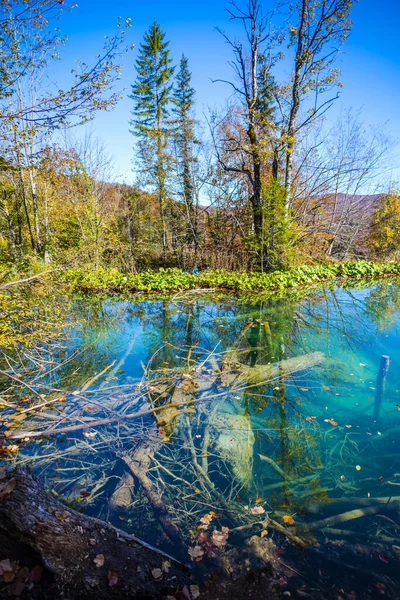Hırvatistan Plitvice Jezera Parkı Nda Gölet — Stok fotoğraf