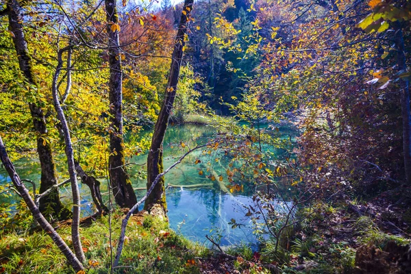 Estanque Plitvice Jezera Park Croacia — Foto de Stock