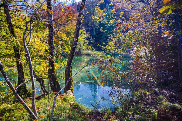 Teich Park Plitvice Jezera Kroatien — Stockfoto