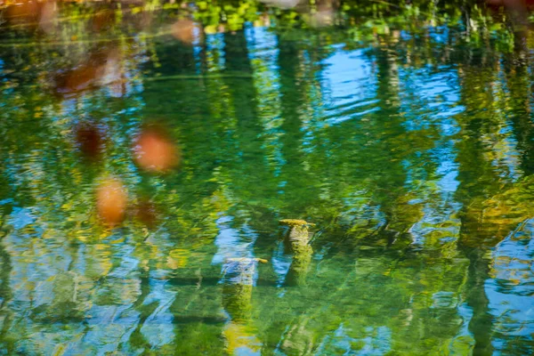 Teich Park Plitvice Jezera Kroatien — Stockfoto