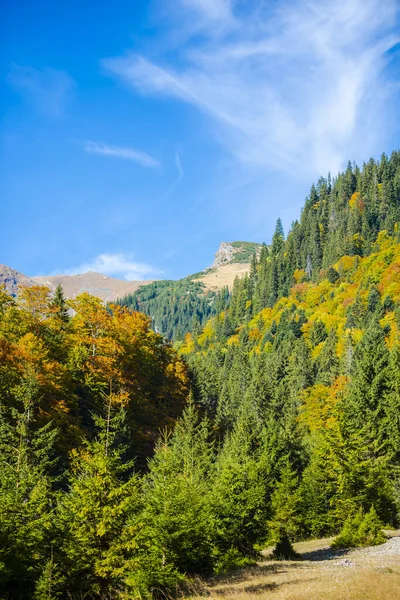 Landscape Mountains Plitvice Jezera Park Horvátország — Stock Fotó