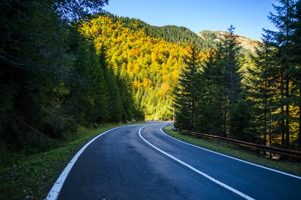 Hırvatistan 'ın Plitvice Jezera Parkı' ndaki Şelalelerden geçen asfalt yolu.