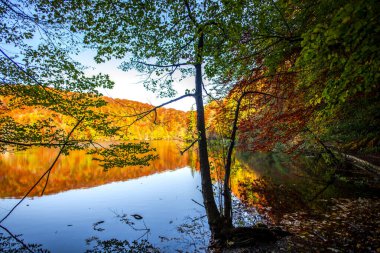 Hırvatistan 'ın Plitvice Jezera Parkı' nda gölet.