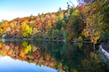 Hırvatistan 'ın Plitvice Jezera Parkı' nda gölet.