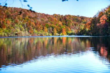 Hırvatistan 'ın Plitvice Jezera Parkı' nda gölet.