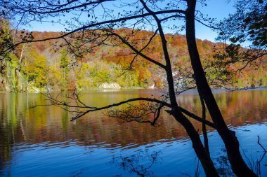 Hırvatistan 'ın Plitvice Jezera Parkı' nda gölet.