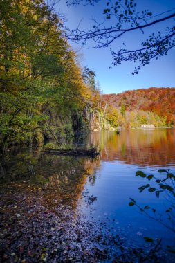 Hırvatistan 'ın Plitvice Jezera Parkı' nda gölet.