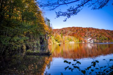 Hırvatistan 'ın Plitvice Jezera Parkı' nda gölet.