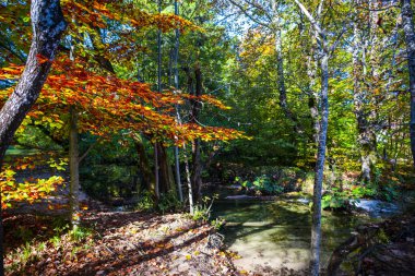 Hırvatistan 'ın Plitvice Jezera Parkı manzarası.
