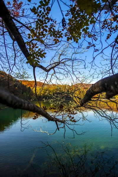 Pond Plitvice Jezera Park Kroatien — Stockfoto