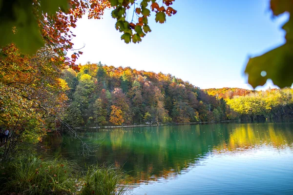 Λίμνη Στο Πάρκο Plitvice Jezera Κροατία — Φωτογραφία Αρχείου