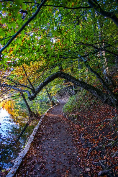 Staw Parku Plitvice Jezera Chorwacja — Zdjęcie stockowe