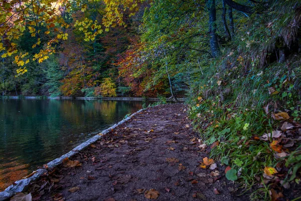 Vijver Plitvice Jezera Park Kroatië — Stockfoto